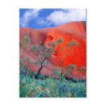 Outback Australia