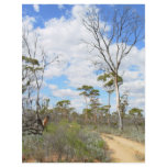 Outback Australiens flyers