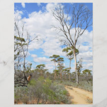 Outback Australiens Personalized Flyer