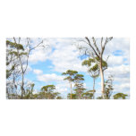 Outback Australiens photo cards