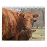Outdoor Wonders Wall Calendars