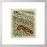 OutofAfrica4, OutofAfricaPastel Posters