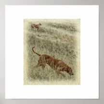 OutofAfrica4, OutofAfricaPastel Posters