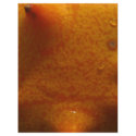 outside of star fruit flyers
