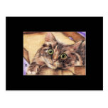 Outside the Box ACEO Art Trading Card Post Cards