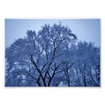 Outter Limits 7x5 Phototographic Print