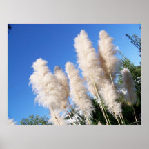 Over Head Grass Cotton Print