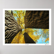 Over My Head Print