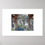 Over the mountain and through the…. print