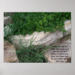 Overgrown Trail Poster posters