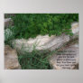 Overgrown Trail Poster