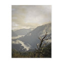 Overlooking the Doubtful Sounds postcards