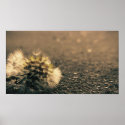 Overshadowed posters