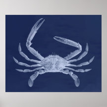 Oversized Crab Triptych in Blue Poster
