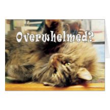 overwhelmed Nellie Greeting Cards