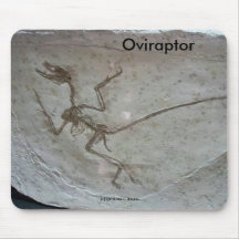 Oviraptor Mouse Pad
