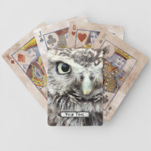 Owl