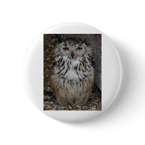 owl1 buttons