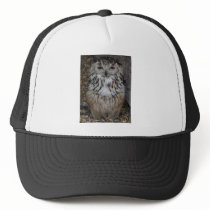 owl1 mesh hats