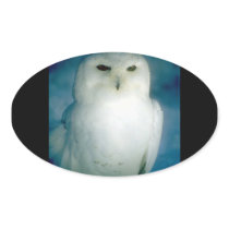 Owl (11) sticker