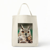 Owl 1 canvas bags