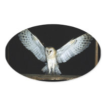 Owl (6) sticker
