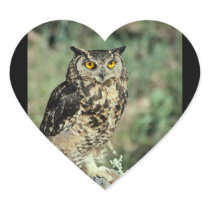 Owl (9) stickers