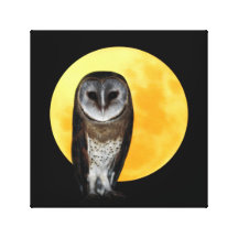 Owl and the full moon gallery wrap canvas