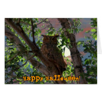 Owl and the Moon Halloween Card