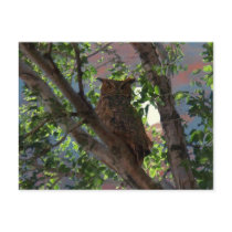 Owl and the Moon Post Cards