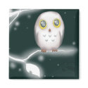 owl branchwm magnets