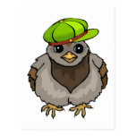 Owl Buddy Postcard