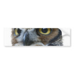 Owl Bumper Sticker bumper stickers
