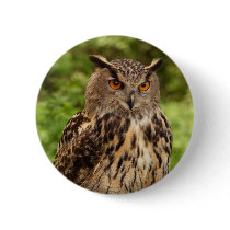 Owl Button Badge