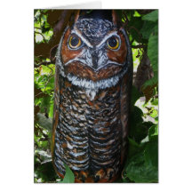 Owl Cards