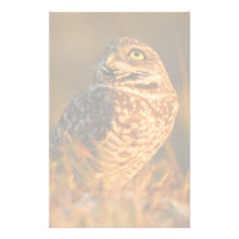 owl customized stationery
