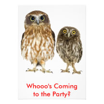 Owl Duo Personalised Announcements