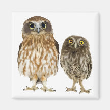 Owl Duo Refrigerator Magnet