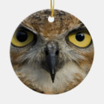 Owl Eyes Christmas Ornaments
