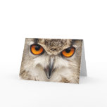Owl Eyes, Eyes of the Eagle Owl Photograph cards