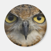 Owl Eyes Refrigerator Magnet