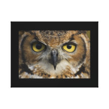 Owl Eyes with black border Stretched Canvas Prints