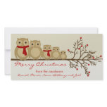 Owl Family photo cards