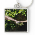 Owl Flying keychains