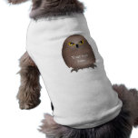 Owl glare cute pet clothing