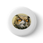 Owl-Great Horned from JungleWalk.com buttons