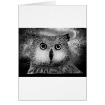 Owl Greeting Cards