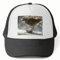 owl trucker hats