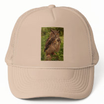 Owl Hat