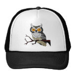 Owl Hat